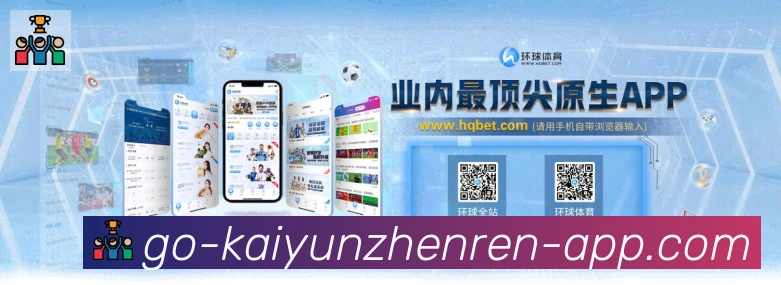 未来规划